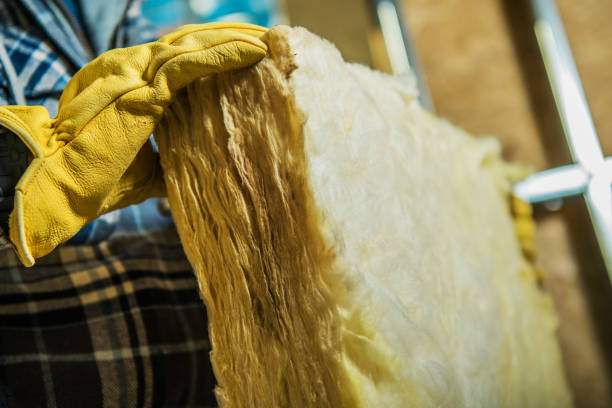 Best Fiberglass Insulation  in Wortham, TX