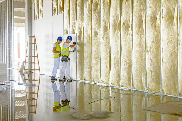 Best Insulation Inspection Services  in Wortham, TX